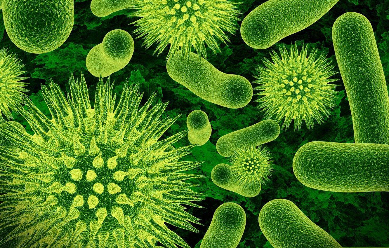 Micro-Organisms
