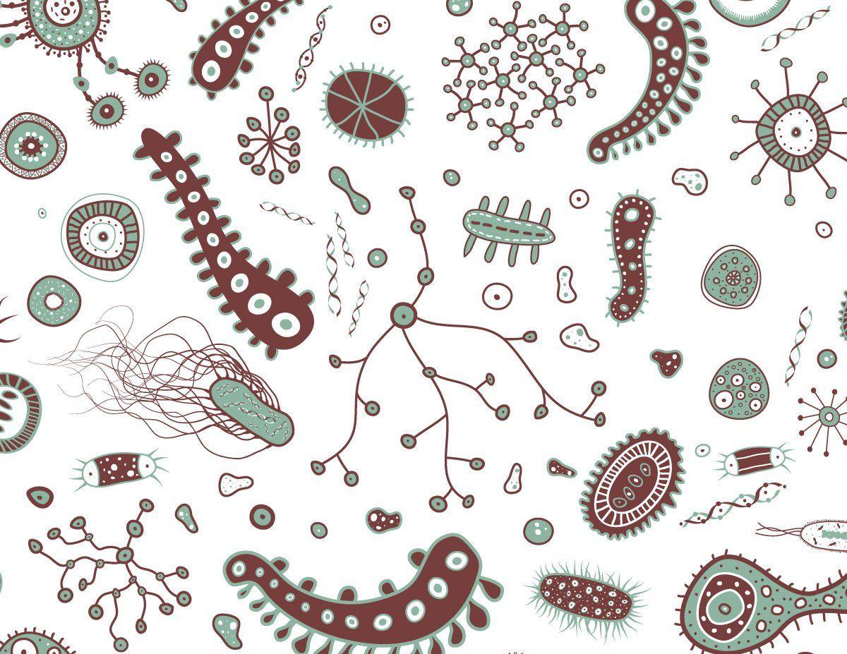 Micro-organisms