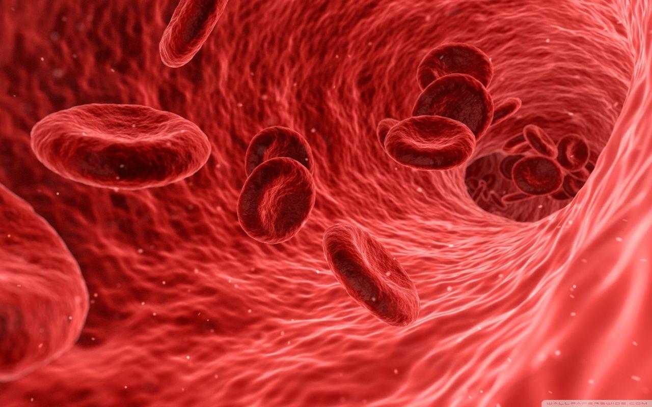 Blood cells